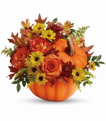Teleflora's Warm Fall Wishes Bouquet from Schultz Florists, flower delivery in Chicago